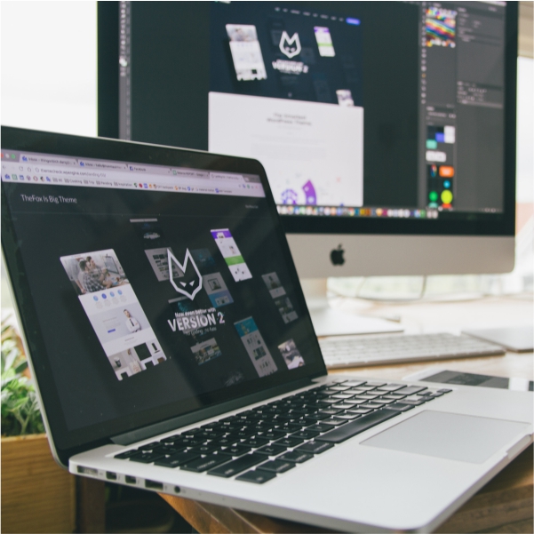 web developement